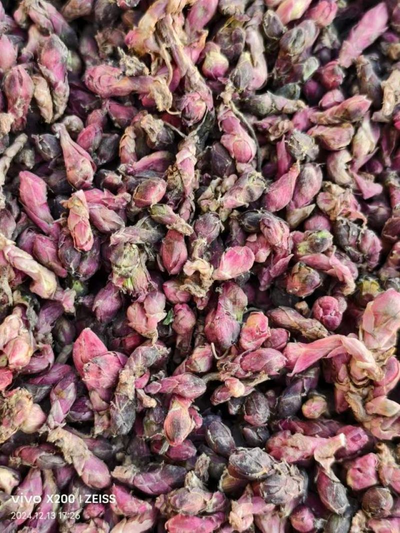 【量大优惠甘肃款冬花品质保障产地直供可视频看货对接药店药厂