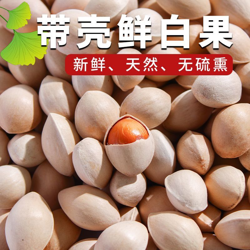 2024年新鲜白果子银杏果生百果仁无漂白带壳白果批发徐州