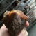 酱牛肉卤牛肉酱香牛肉电商代工小包装真空