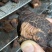 酱牛肉卤牛肉酱香牛肉电商代工小包装真空