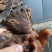 酱牛肉卤牛肉酱香牛肉电商代工小包装真空