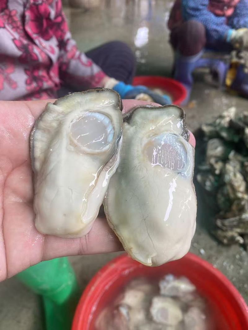 乳山大生蚝火锅餐饮社区畅销产品，当天现开免费寄样。