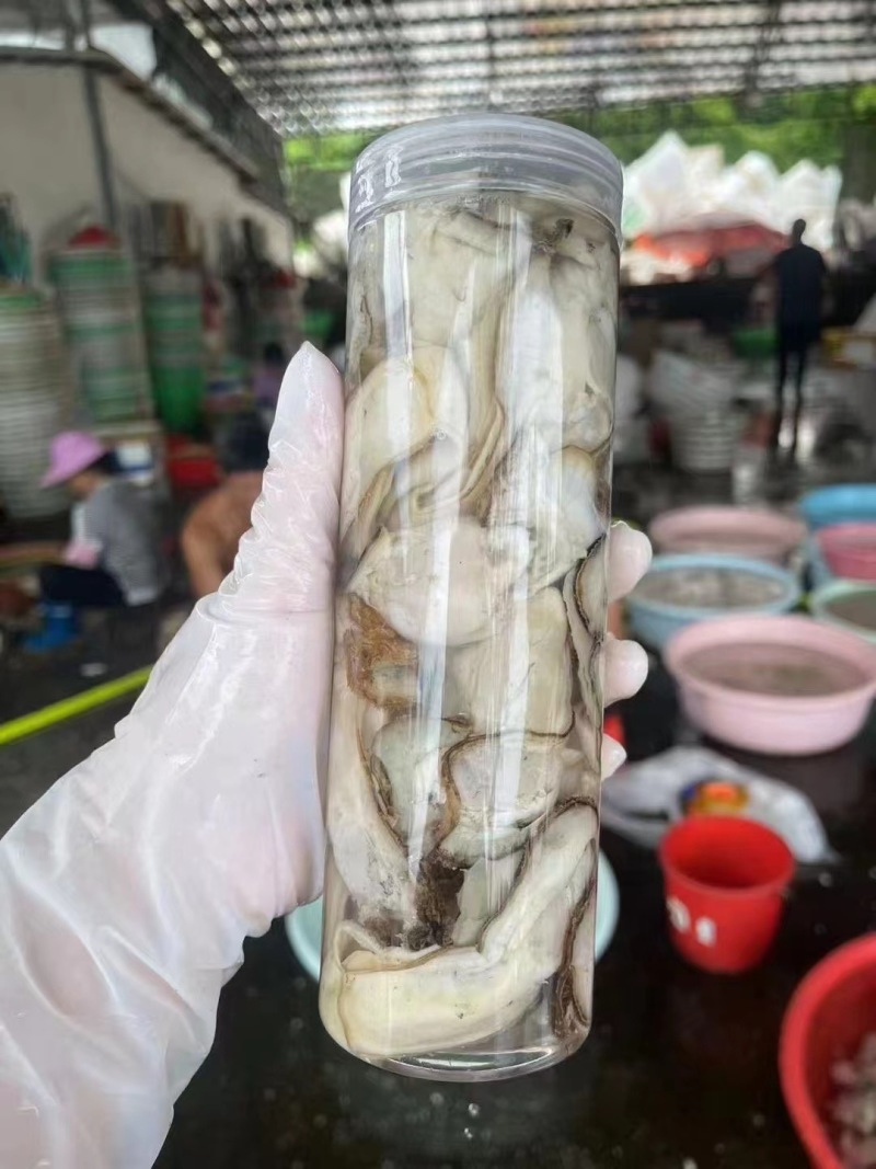 乳山大生蚝火锅餐饮社区畅销产品，当天现开免费寄样。