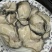 乳山大生蚝火锅餐饮社区畅销产品，当天现开免费寄样。
