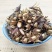 精选中药材香椿子椿树子香椿铃香铃子泡水***中草