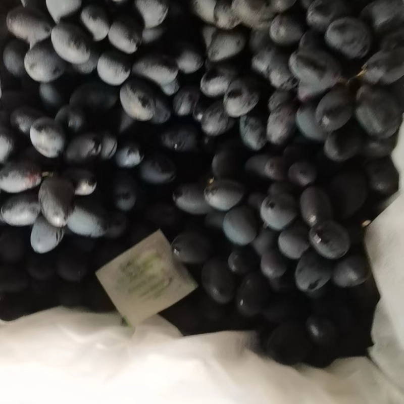西昌葡萄秋黑葡萄大量现货供应见货定价欢迎咨询