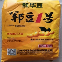 大豆种子国审黄豆种子郓豆1号原装高产矮杆正品大粒可留种