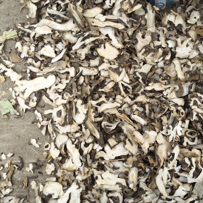 白芍掌片，适合中药店，药厂提取，无硫磺包含量，大货供应。