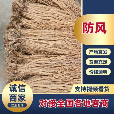 甘肃精品防风