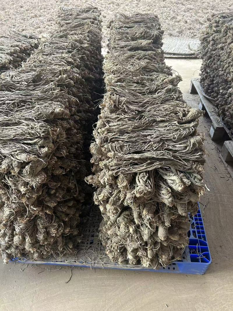当归精品来袭原产地直供随时有货