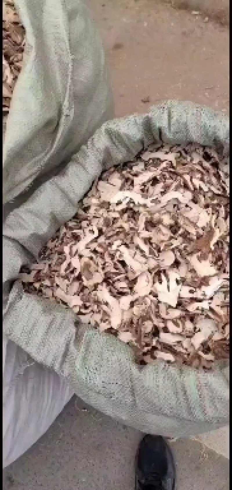 白芍掌片，适合中药店，药厂提取，无硫磺包含量，大货供应。