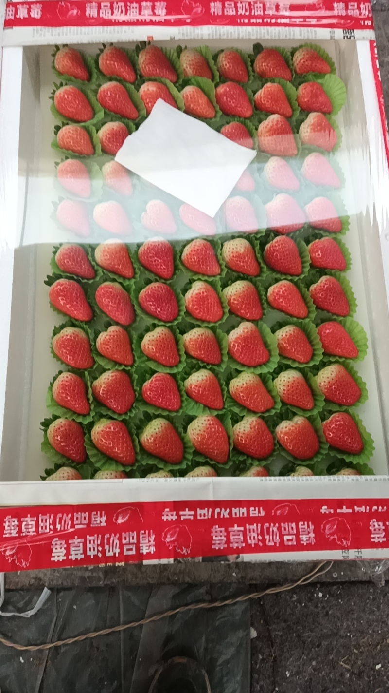 万亩妙香草莓