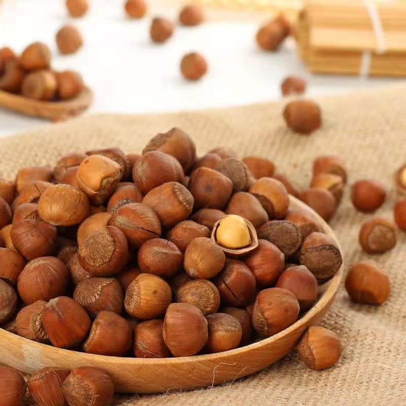 【净重】东北小榛子铁岭特产原味500g薄皮坚果孕妇零食批