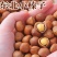 【净重】东北小榛子铁岭特产原味500g薄皮坚果孕妇零食批