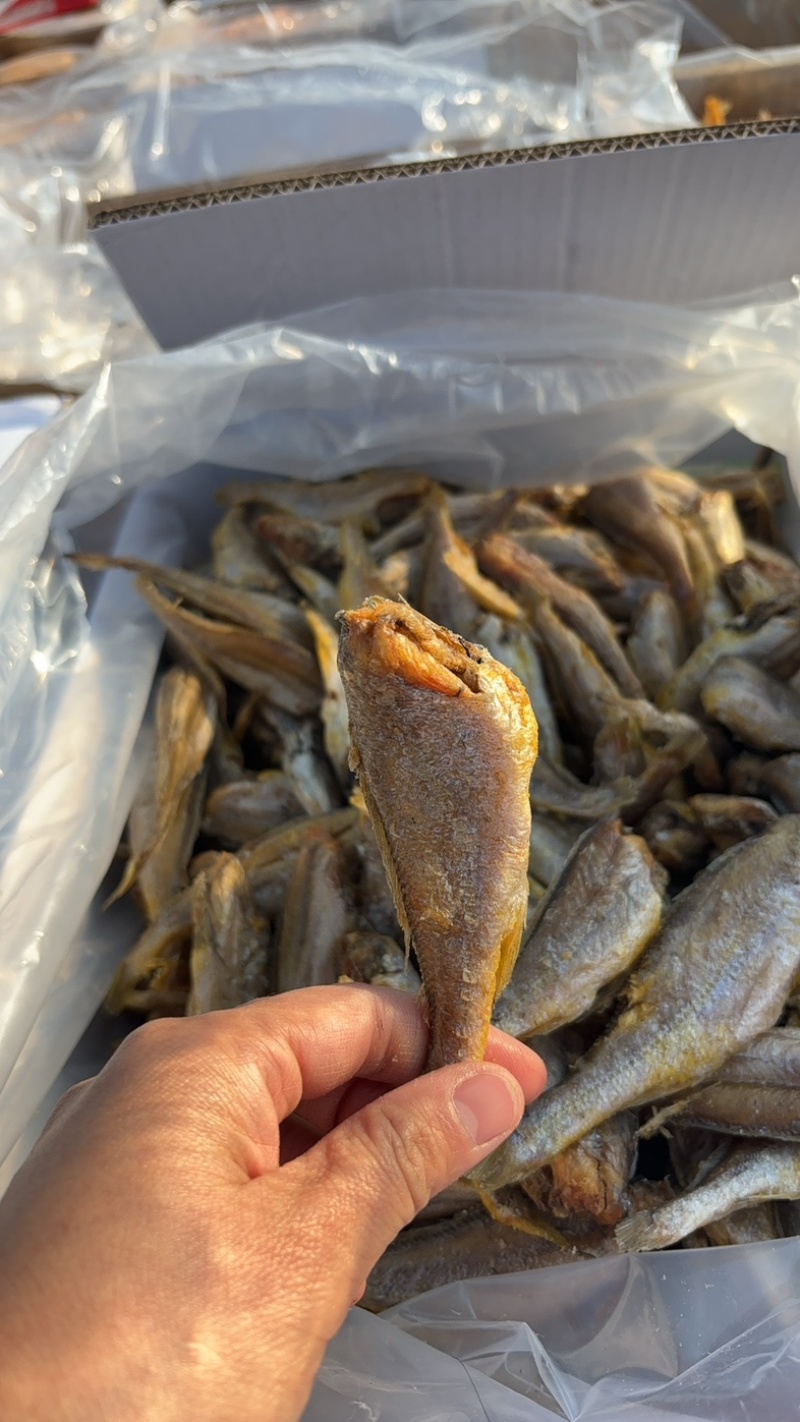 香酥小黄鱼黄鱼酥酥酥脆脆很好吃一手货源
