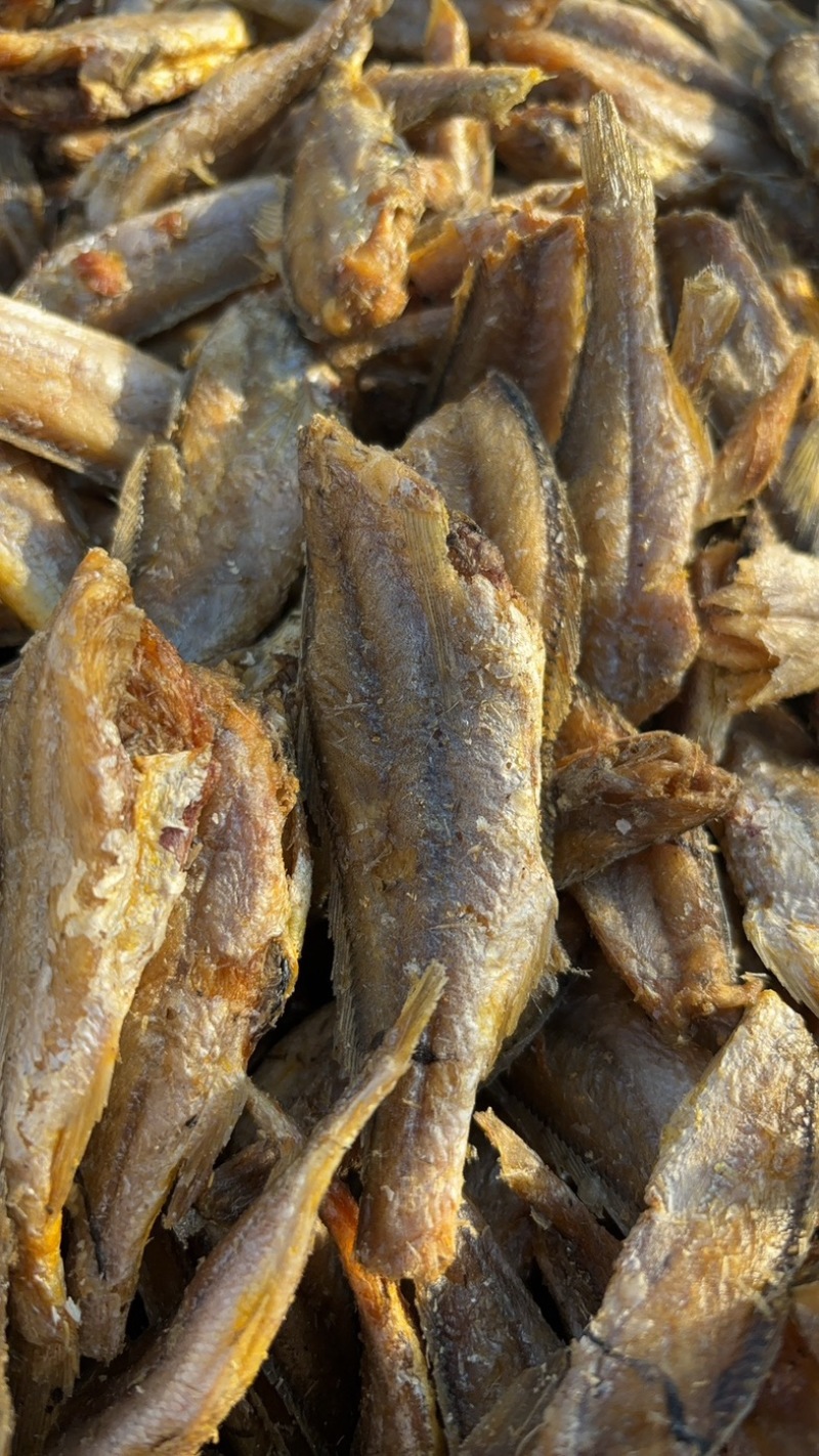 香酥小黄鱼黄鱼酥酥酥脆脆很好吃一手货源