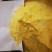 玉米面（膨化专用，贴饼子，窝窝头）手擀面细粉