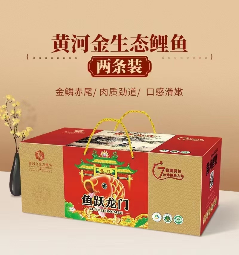 黄河大鲤鱼现杀现炸年货大礼包年年鱼