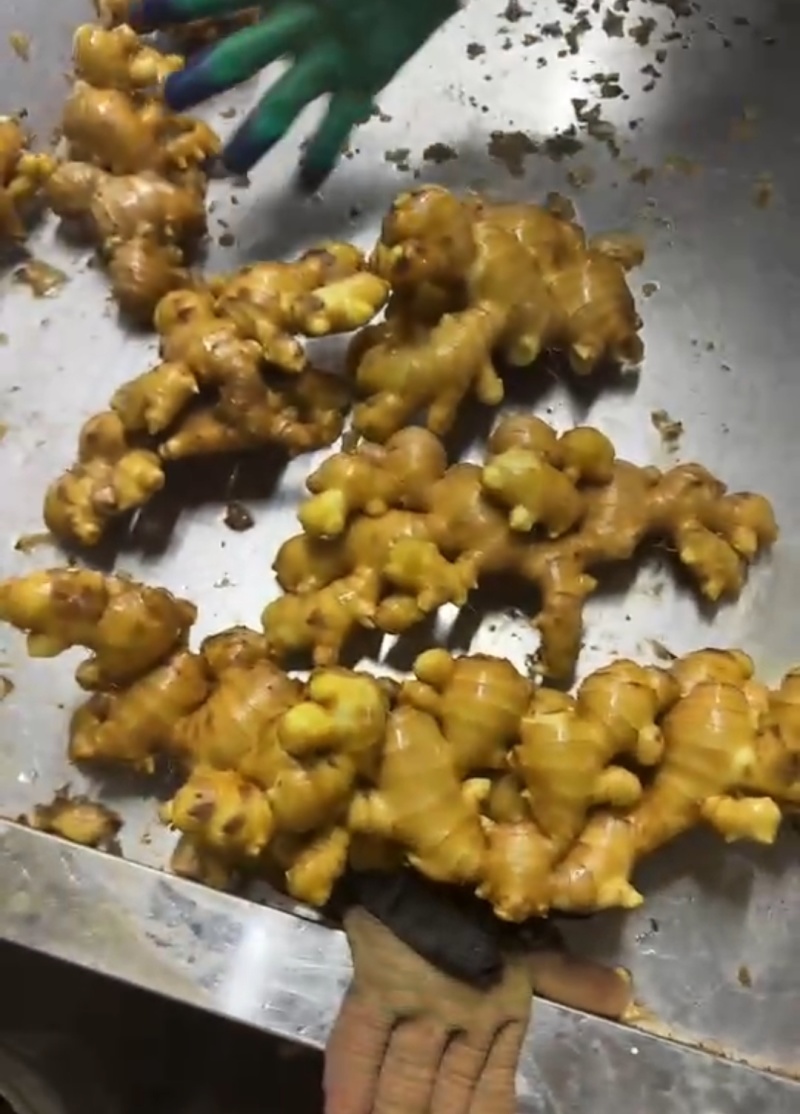 山东精品大黄姜大量有货，欢迎全国各地老板实地考察订购