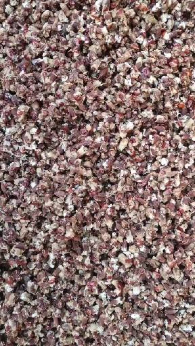 枣核饲料原料大量供应量大优惠全国发货可视频看货验货