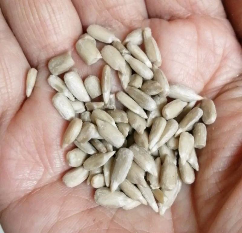 精品全葵仁，出油率58，一手货源，量大从优，保质保量。