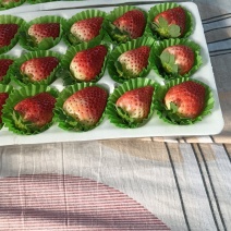 天仙醉草莓