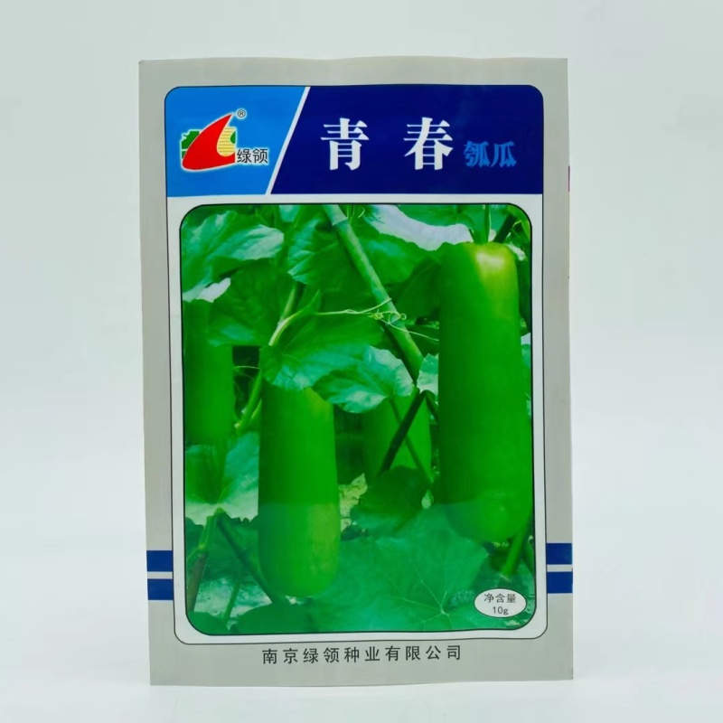 绿领青春短瓠瓜种子短蒲瓜种籽甜瓠子瓜菜葫芦短棒农家四季菜