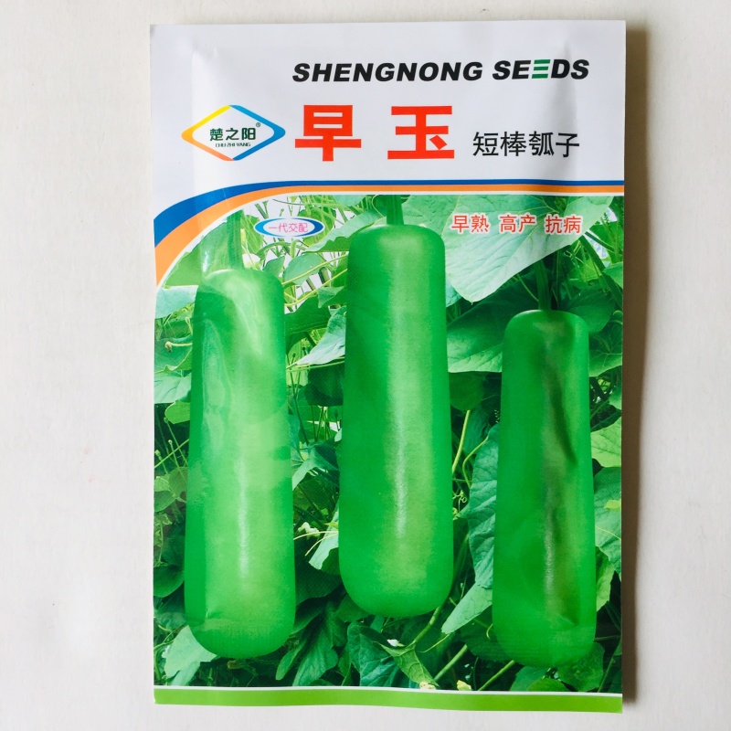 早玉短棒瓠子种子瓠子瓜种孑甘瓠甜瓠瓠瓜种籽短瓠子种子