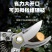小狮立修枝剪专用剪强力SK5园艺修剪家用花木园林粗枝剪剪