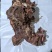 【优选】价格美丽货源充足保质保量新鲜牛头肉抢购中