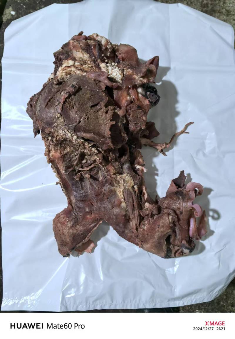 【优选】价格美丽货源充足保质保量新鲜牛头肉抢购中