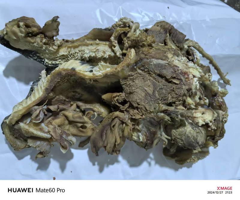 【优选】价格美丽货源充足保质保量新鲜牛头肉抢购中