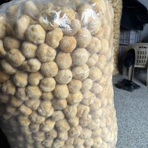 产地直供福建猴头菇干货一手货源剪脚无熏硫多种规格电商代发
