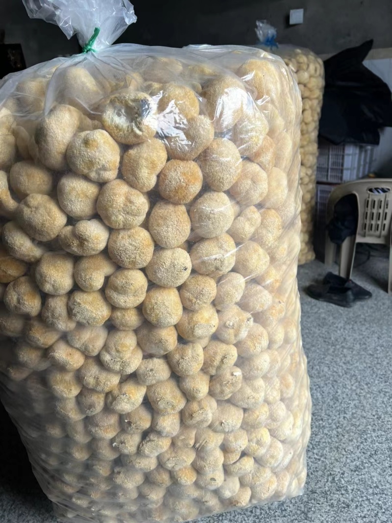 产地直供福建猴头菇干货一手货源剪脚无熏硫多种规格电商代发