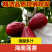 海南黑金刚莲雾全国批发139075和一件代发70580