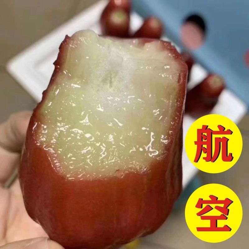海南黑金刚莲雾全国批发139075和一件代发70580