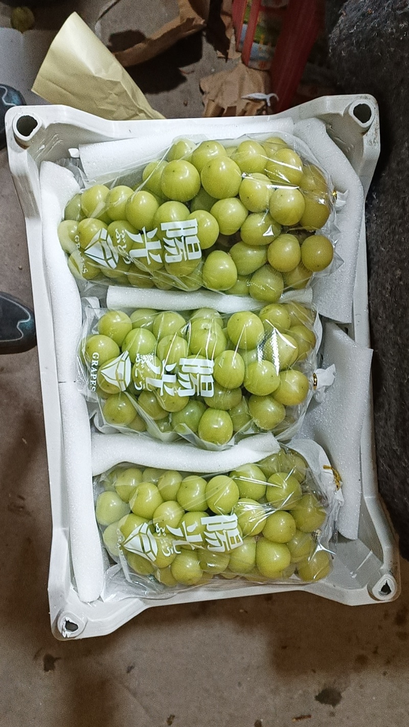 【牛商实力推荐】阳光玫瑰，精品阳光玫瑰葡萄，颗粒大