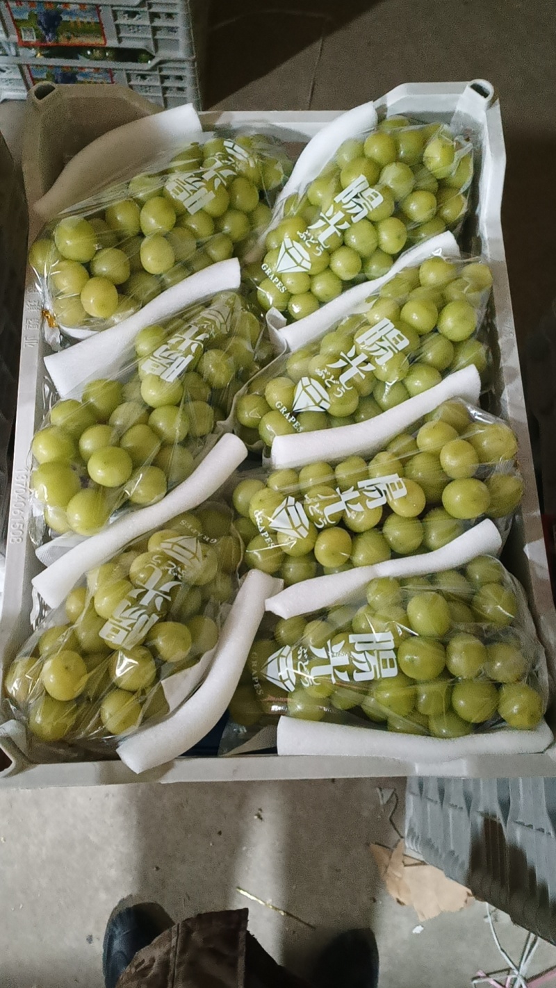 【牛商实力推荐】阳光玫瑰，精品阳光玫瑰葡萄，颗粒大