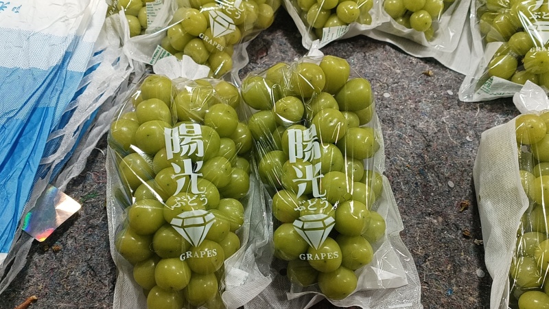 【牛商实力推荐】阳光玫瑰，精品阳光玫瑰葡萄，颗粒大