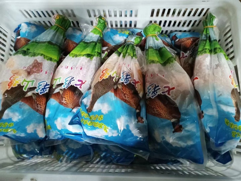 白条鸡整只/山东养殖户/常年稳定