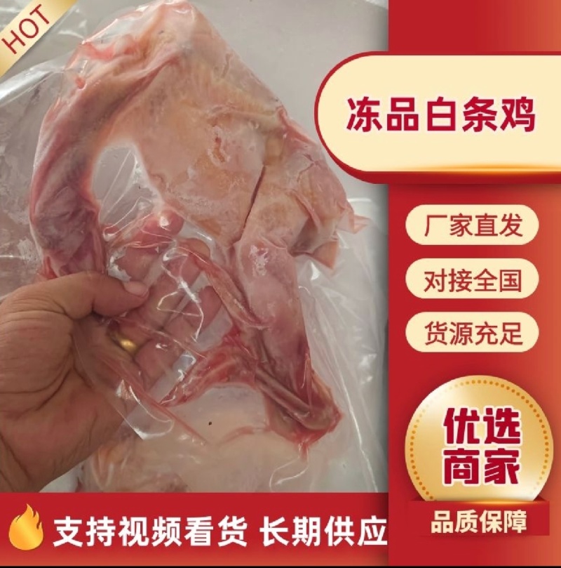 白条鸡整只/山东养殖户/常年稳定
