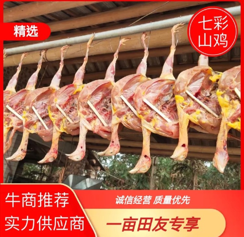白条鸡整只/山东养殖户/常年稳定