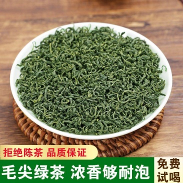 2024新茶叶高山云雾春茶浓香日照充足绿茶茶叶
