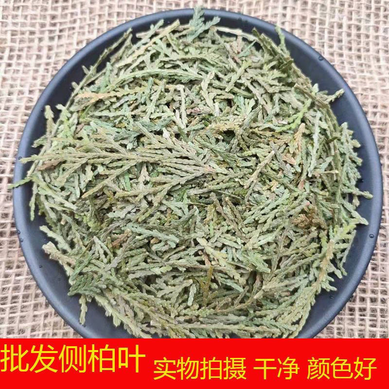 【侧柏叶】侧柏叶热销货源货足价廉产地直供
