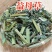 【益母草】益母草纯青热销货源货足价廉量大从优