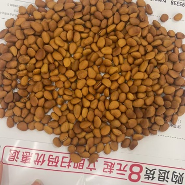 松子大量现货支持一件代发也可批量拿货