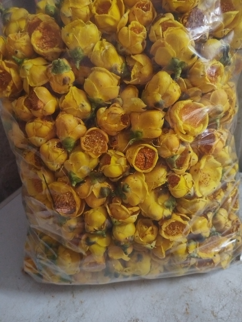 金花茶冻干花