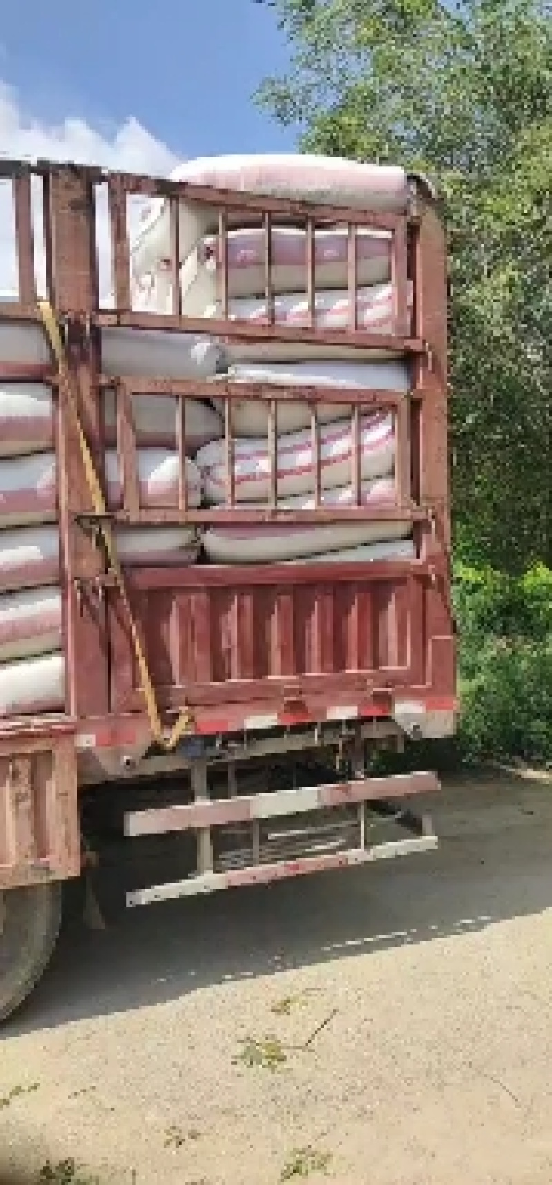 饲料棉籽饼大量供应货源充足常年有货欢迎抢购