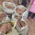 丰县二茬韭菜根价格便宜要的联系，，，，，，，