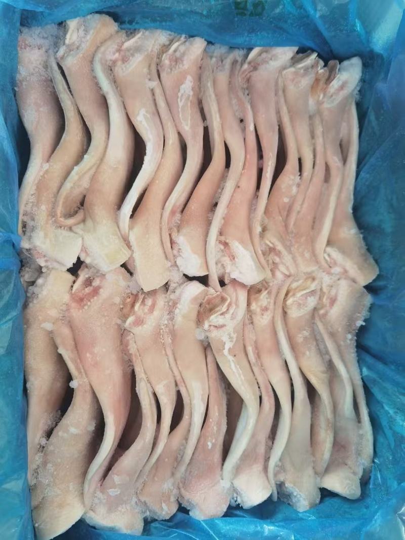 精品猪耳